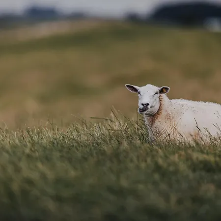 Otel Graf Bentinck 4*