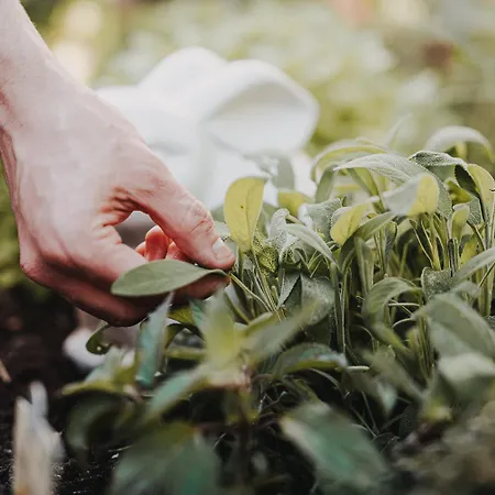 Graf Bentinck Отель Дангаст