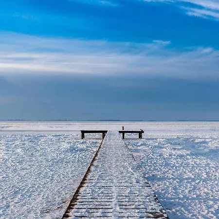 Graf Bentinck Дангаст